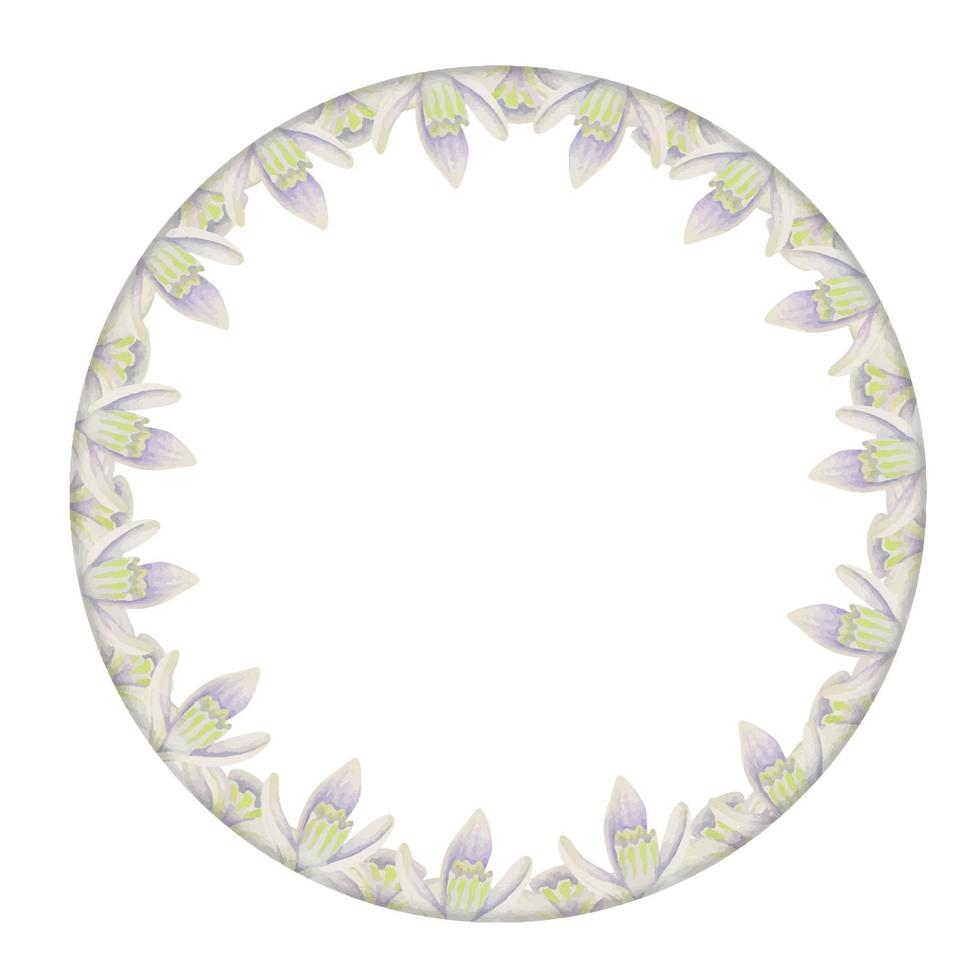 Watercolor hand drawn circle wreath with spring flowers, daffodils, crocus, snowdrops, leaves. Isolated on white background. Design for invitations, wedding, greeting cards, wallpaper, print, textile. vector