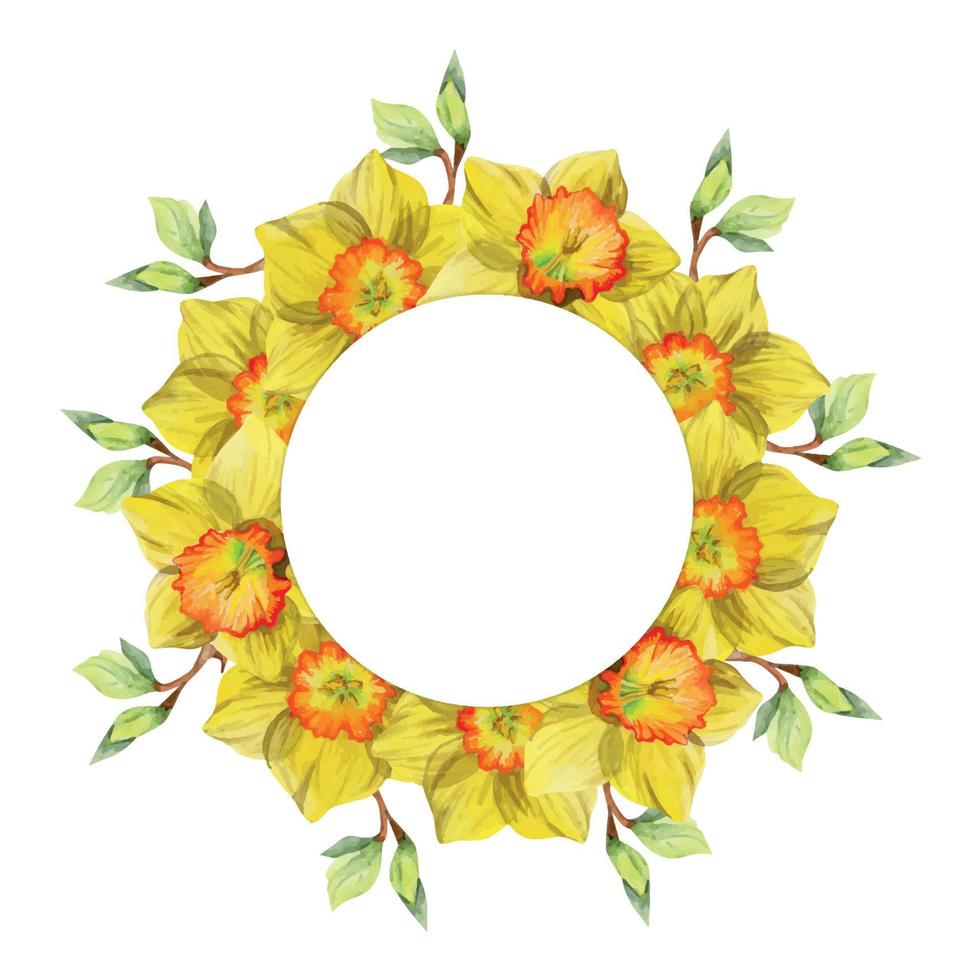 Watercolor hand drawn circle wreath with spring flowers, daffodils, crocus, snowdrops, leaves. Isolated on white background. Design for invitations, wedding, greeting cards, wallpaper, print, textile. vector