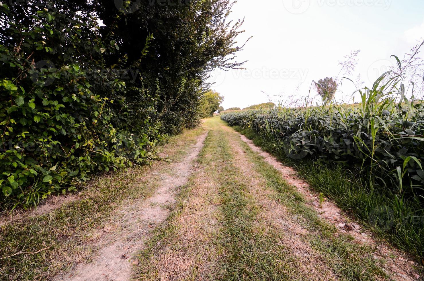 Rural road view photo