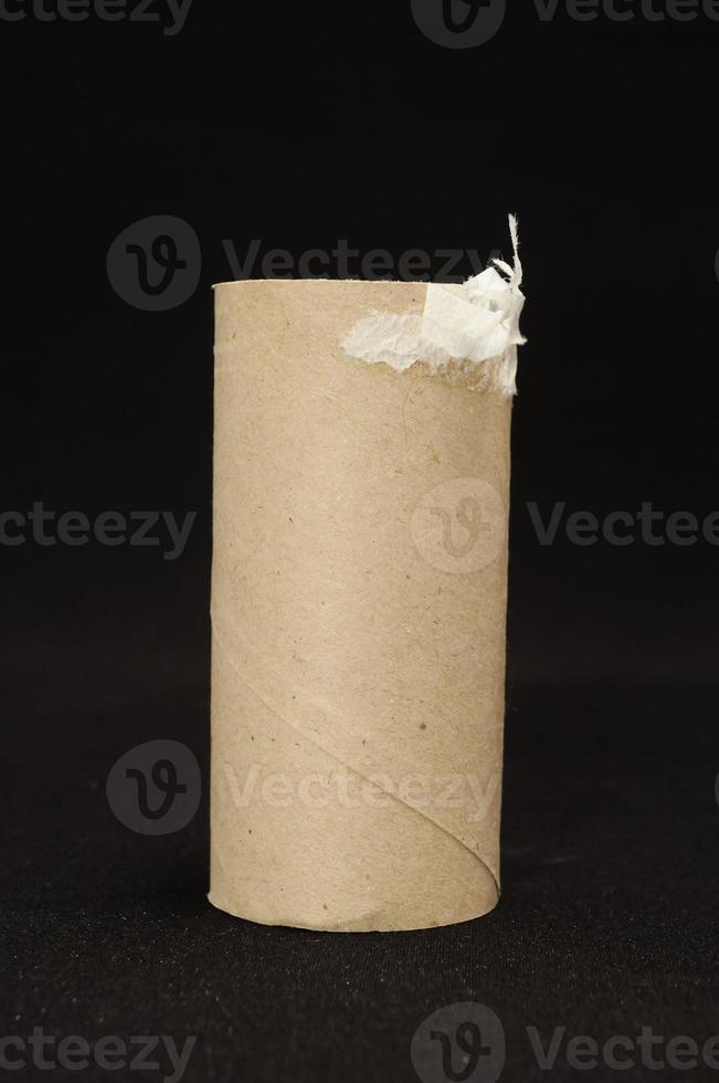 Empty Toilet Paper Roll photo