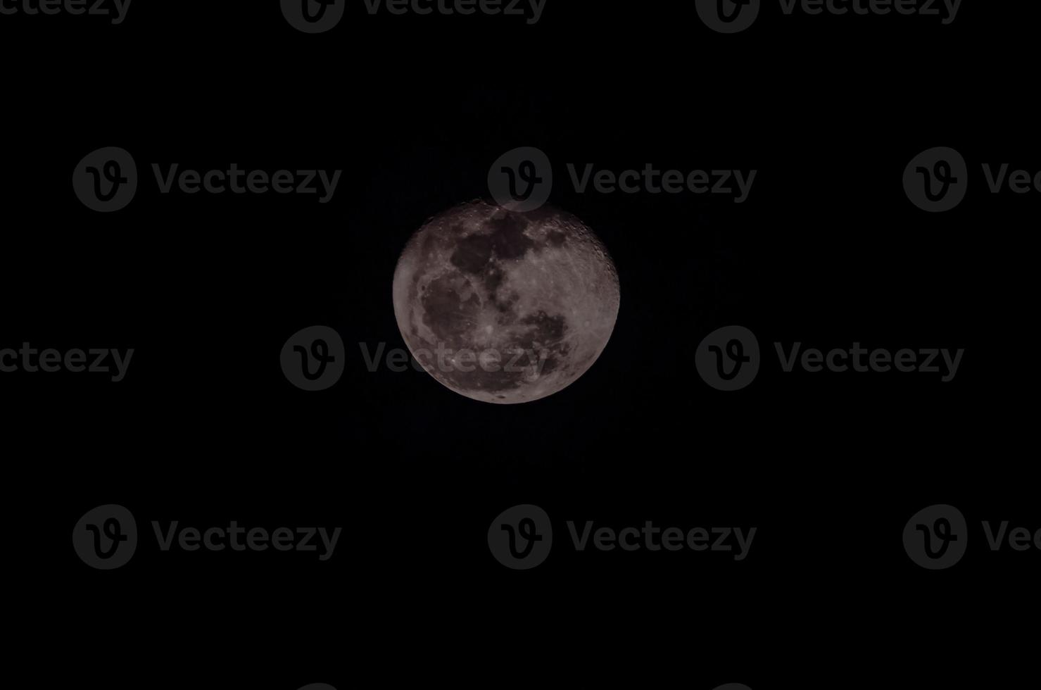 View of the moon photo