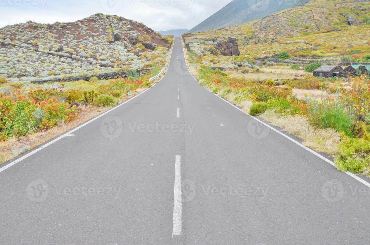 Scenic road view photo