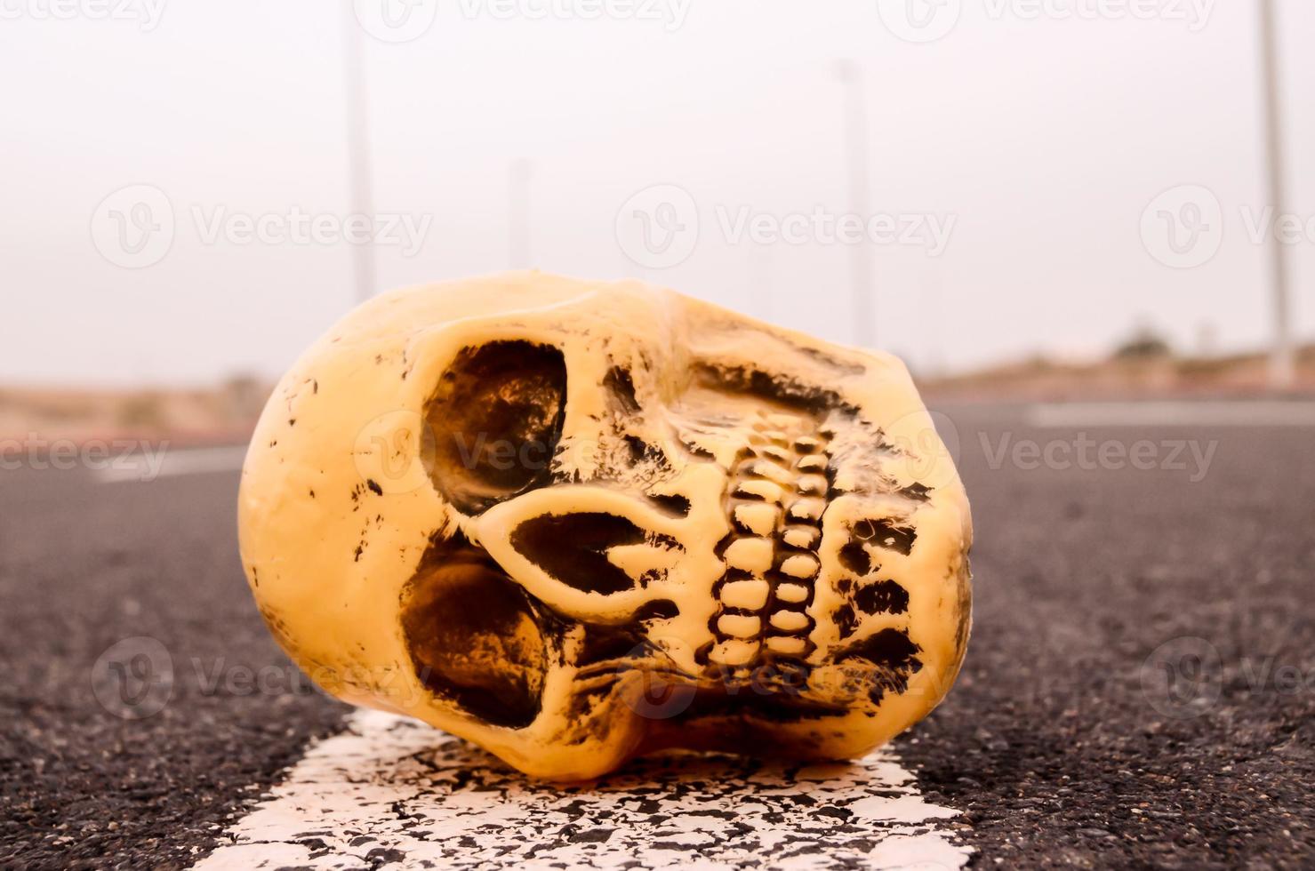 Skull miniature on the road photo