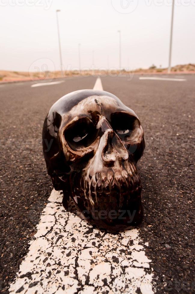 Skull on the ground photo