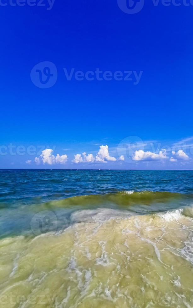 Tropical mexican beach clear turquoise water Playa del Carmen Mexico. photo