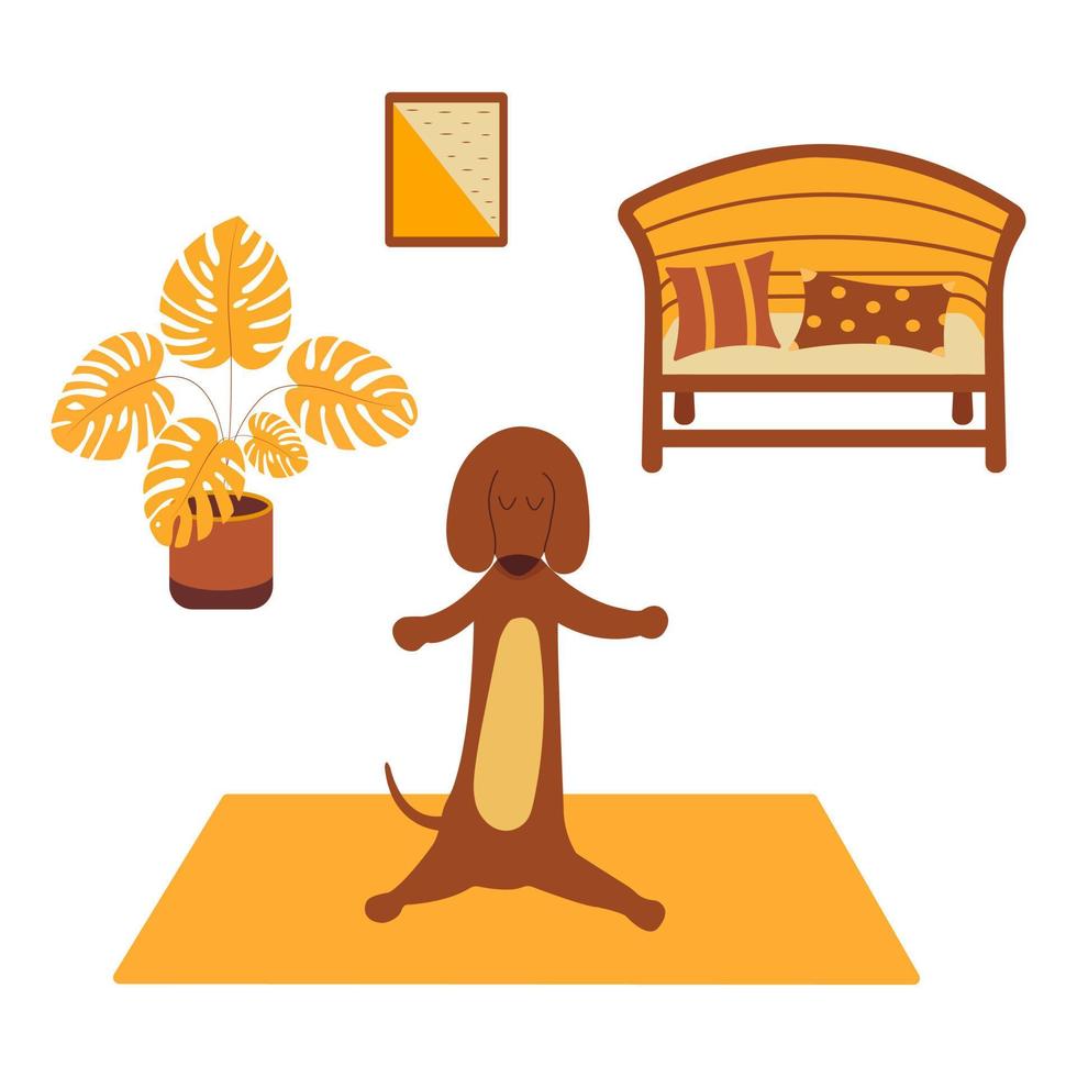 Dachshund practices yoga on yoga mat. Vector cartoon