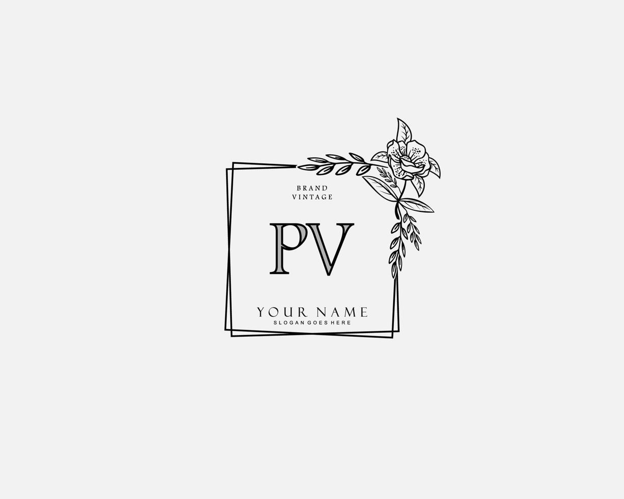 Initial PV beauty monogram and elegant logo design, handwriting logo of initial signature, wedding, fashion, floral and botanical with creative template. vector