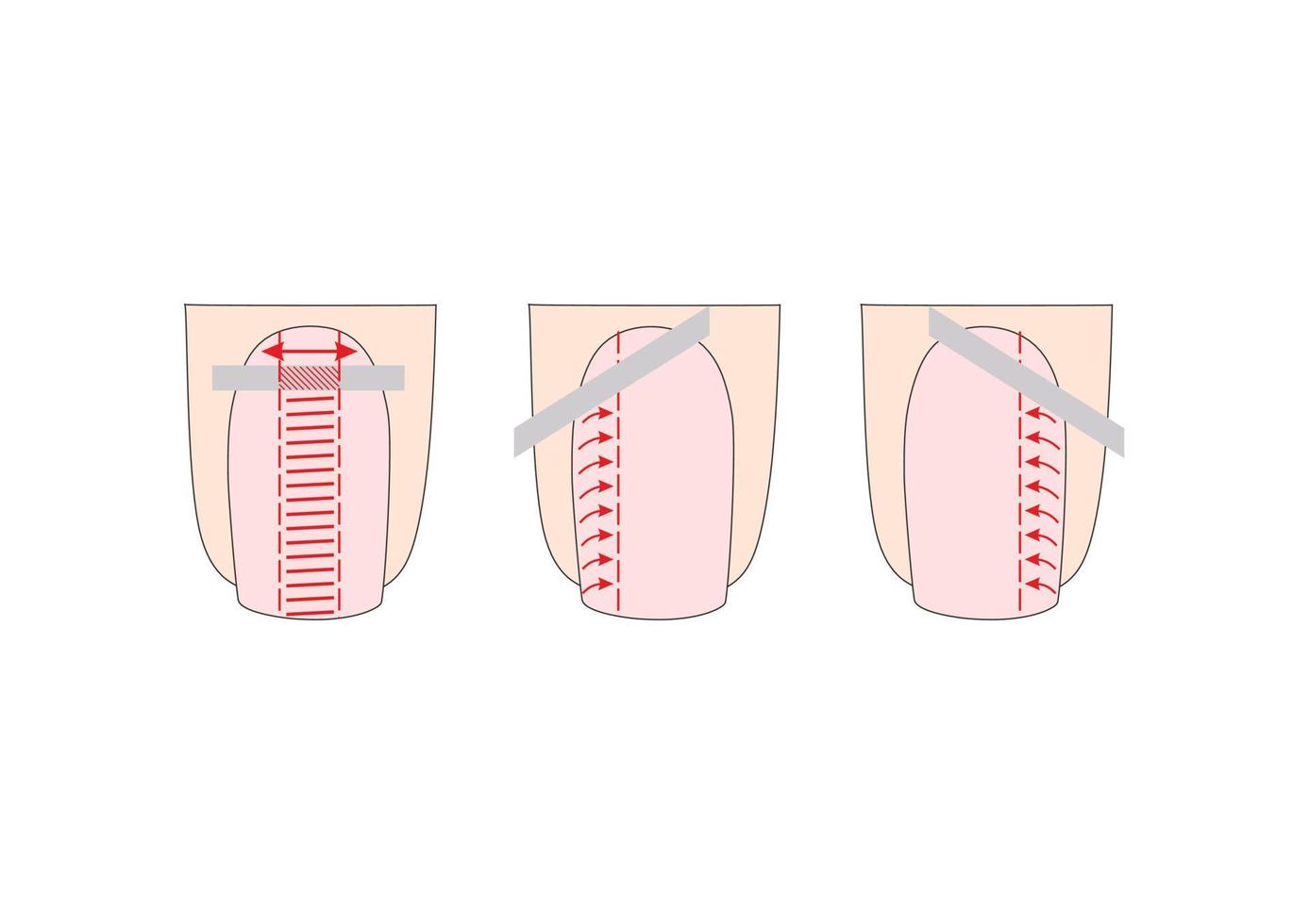 instrucción de manicura. ilustraciones vectoriales de uñas. dedos de señora. vector