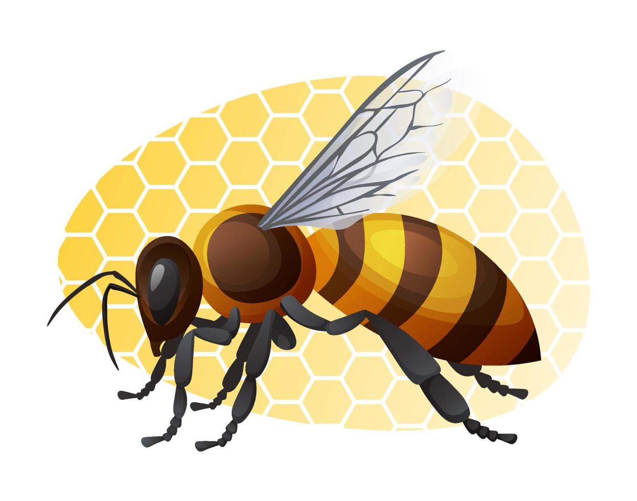 abeja de miel sobre un fondo amarillo. ilustración de insectos rayados aislado sobre fondo blanco. pegatina, impresión, logotipo vector