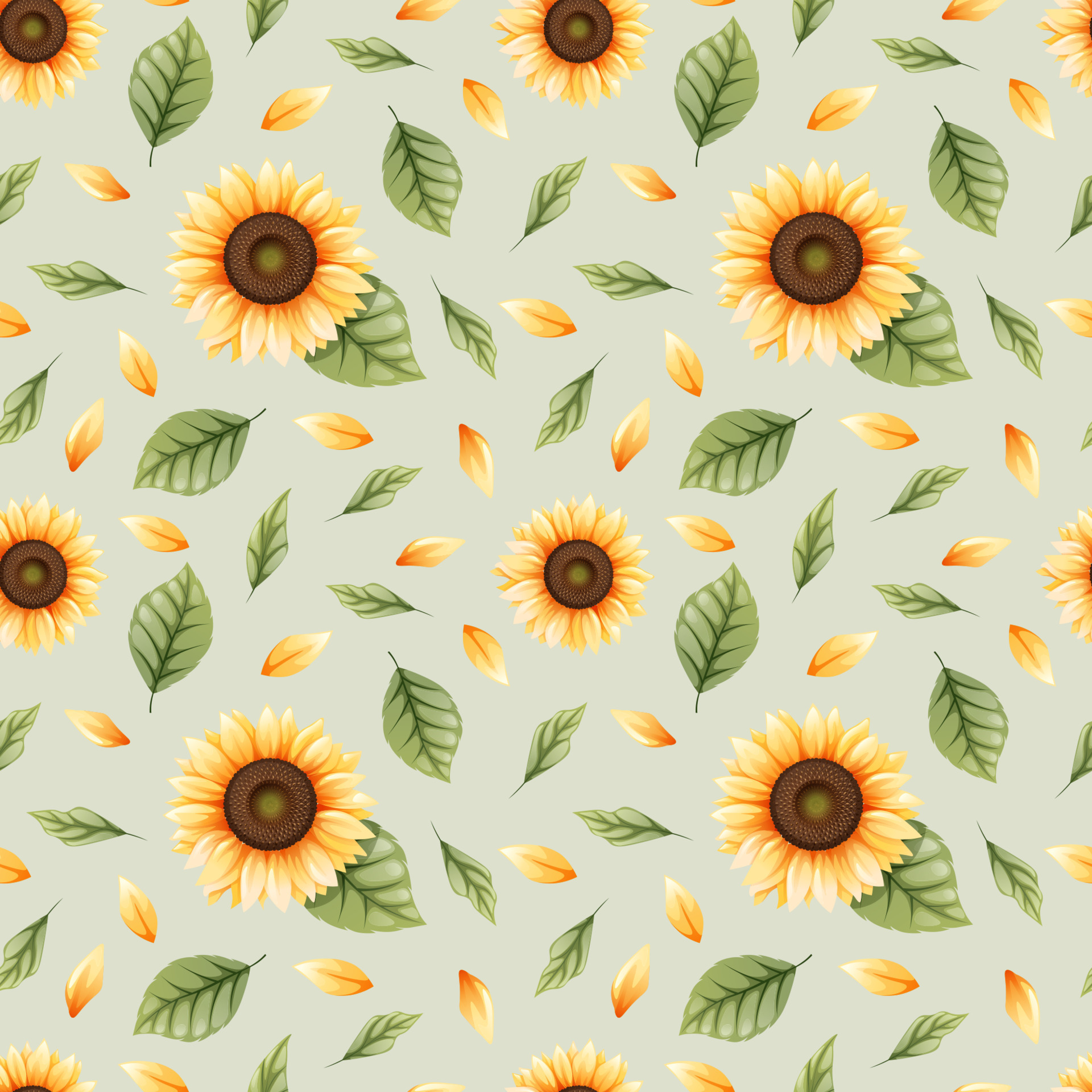 Sunflower Wallpaper Photos Download The BEST Free Sunflower Wallpaper  Stock Photos  HD Images