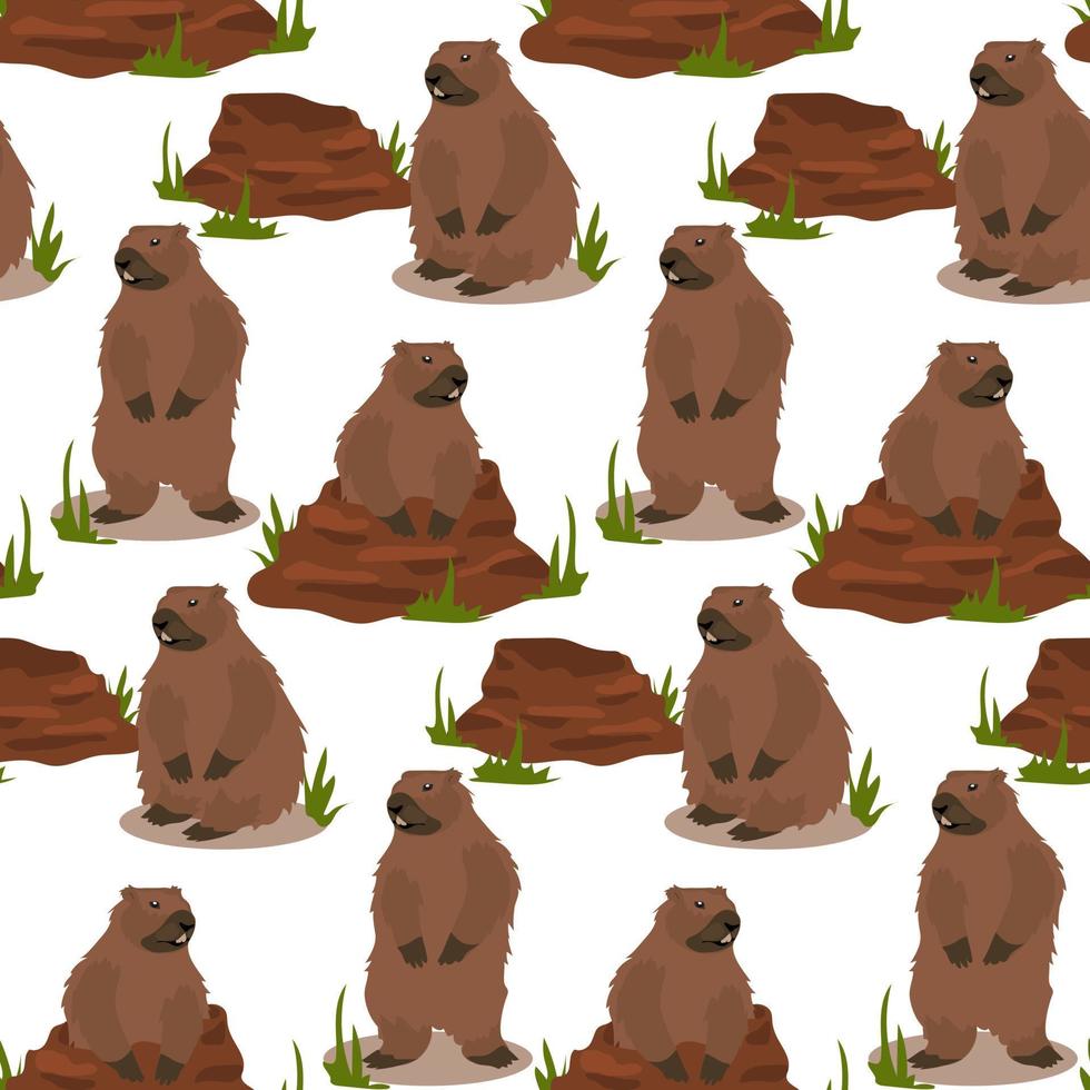 A pattern of groundhogs for groundhog Day with a burrow from which he got out. a harbinger of spring. Festive packaging for postcards, banners, flyers. Vector illustration.