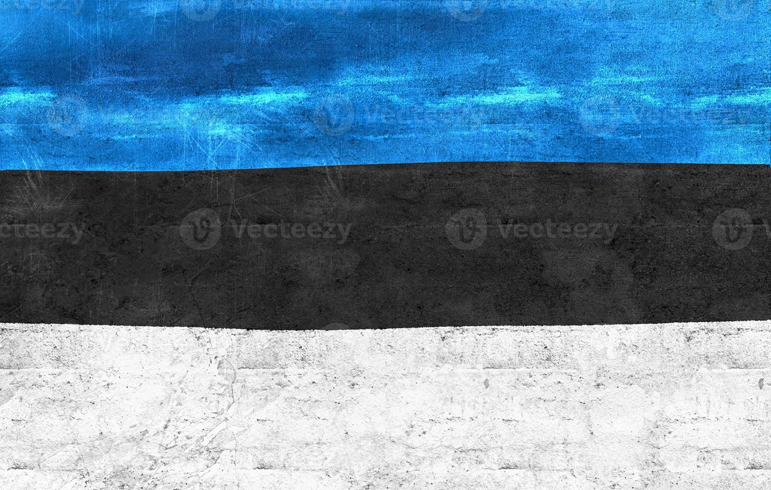 Estonia flag - realistic waving fabric flag photo