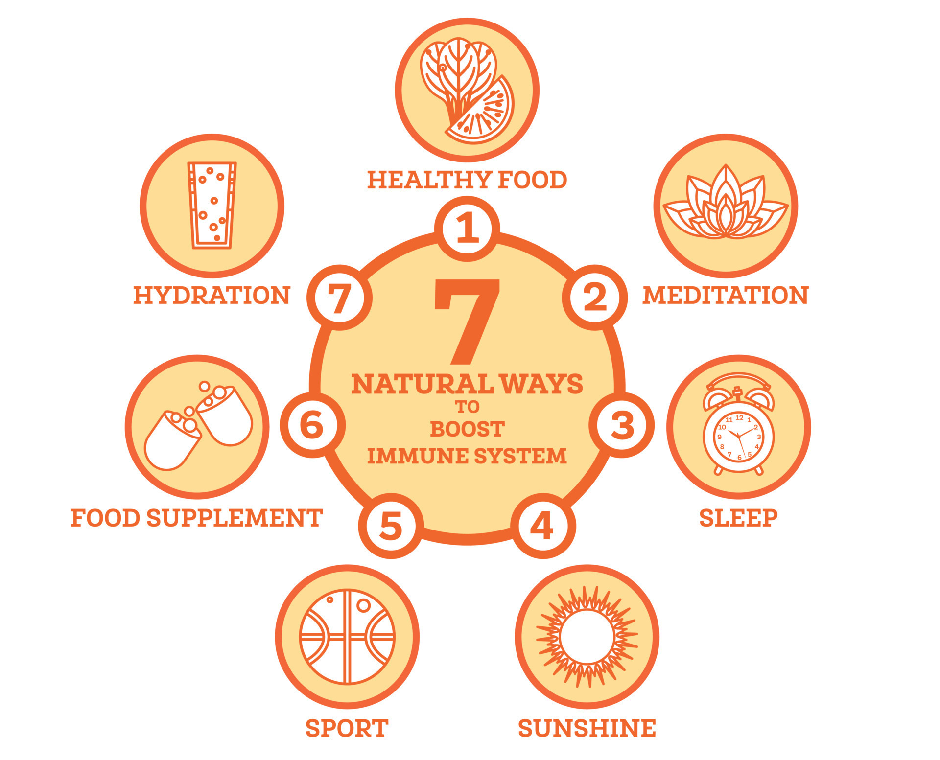 Sproutieeee And Your Immune System: The Surprising Link - 62gv8tm