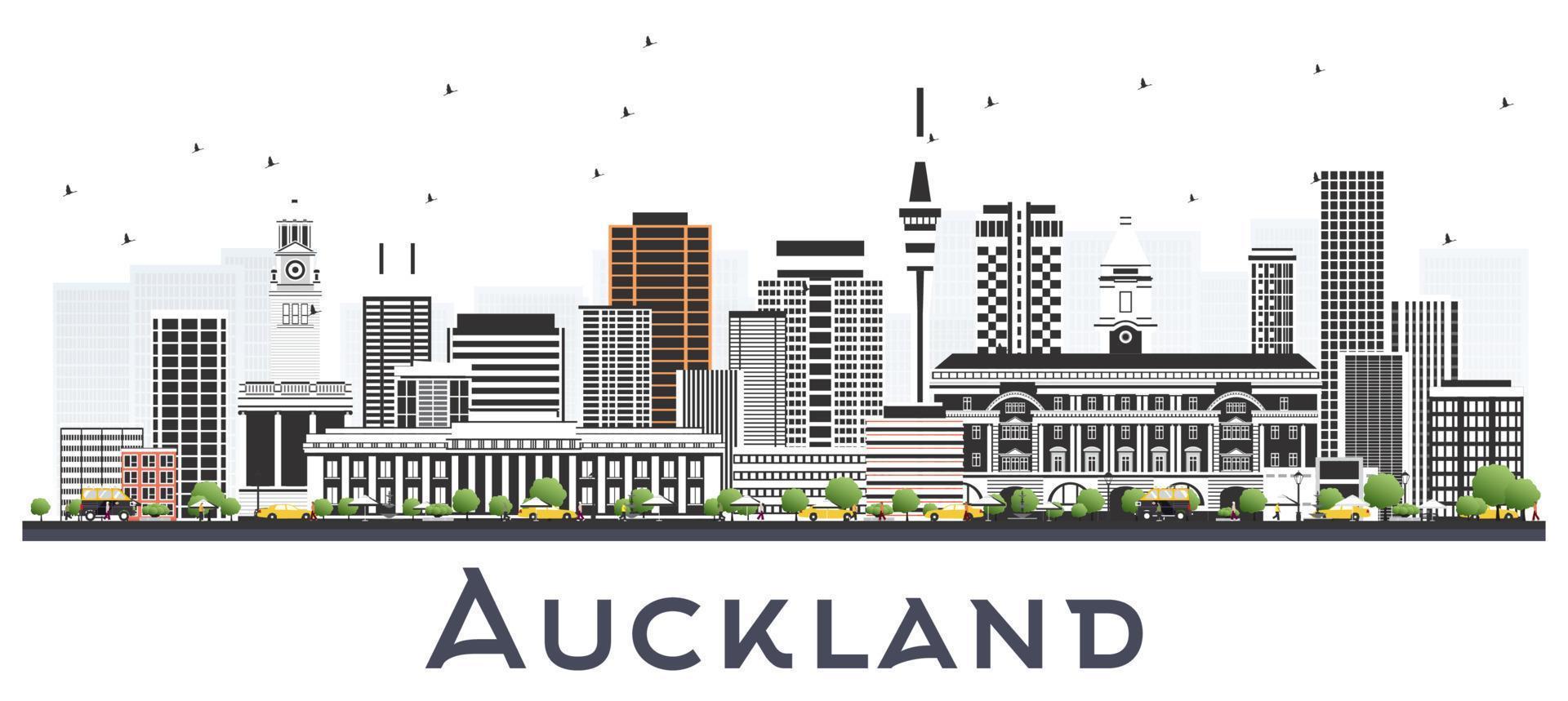 Auckland New Zealand City Skyline with Gray Buildings Isolated on White. vector