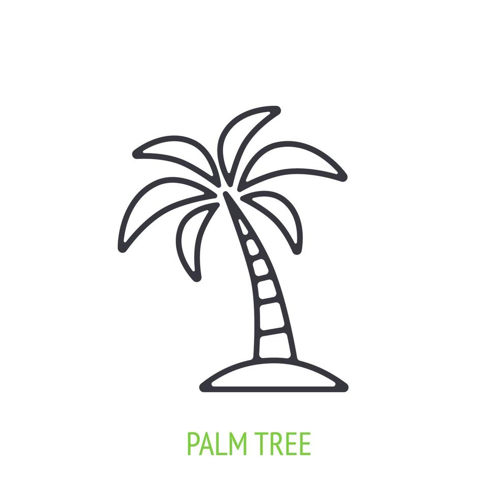 icono de contorno de palmera vector