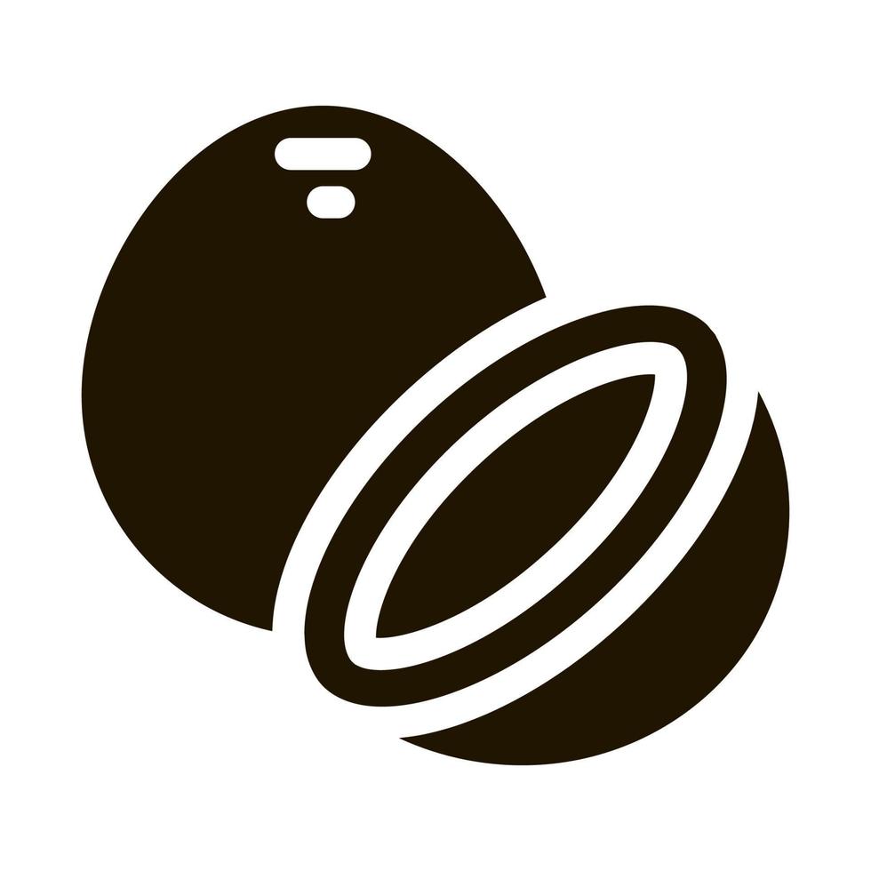 ilustración de glifo de vector de icono de nuez de coco
