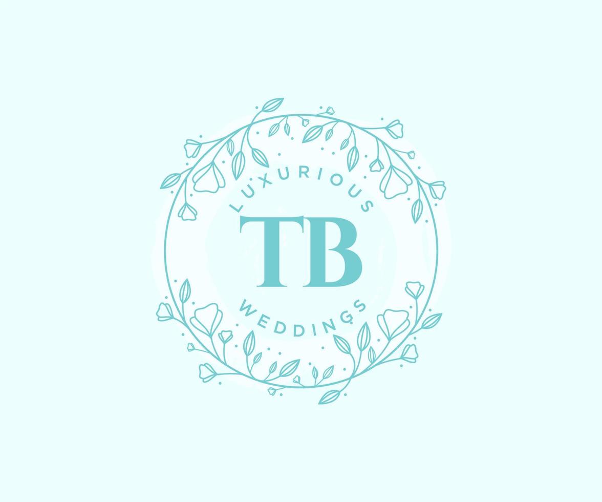 TB Initials letter Wedding monogram logos template, hand drawn modern minimalistic and floral templates for Invitation cards, Save the Date, elegant identity. vector