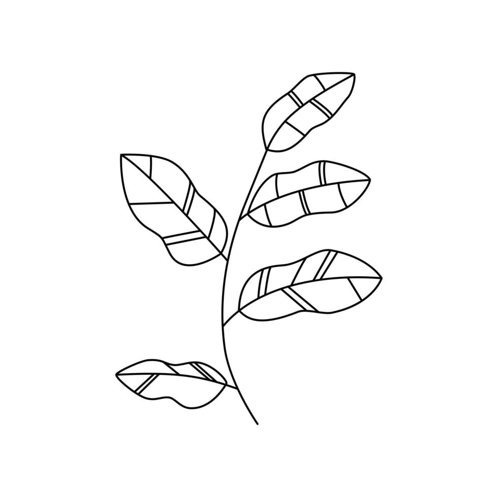 lineart leaves vector illustration