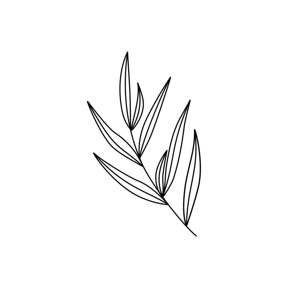 lineart leaves vector illustration