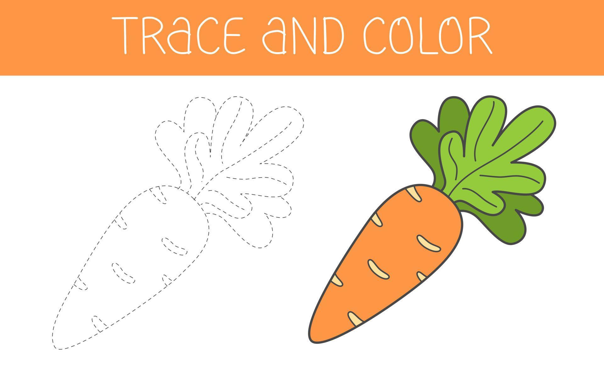 Trace and colour coloring book with carrot for kids. Coloring page with