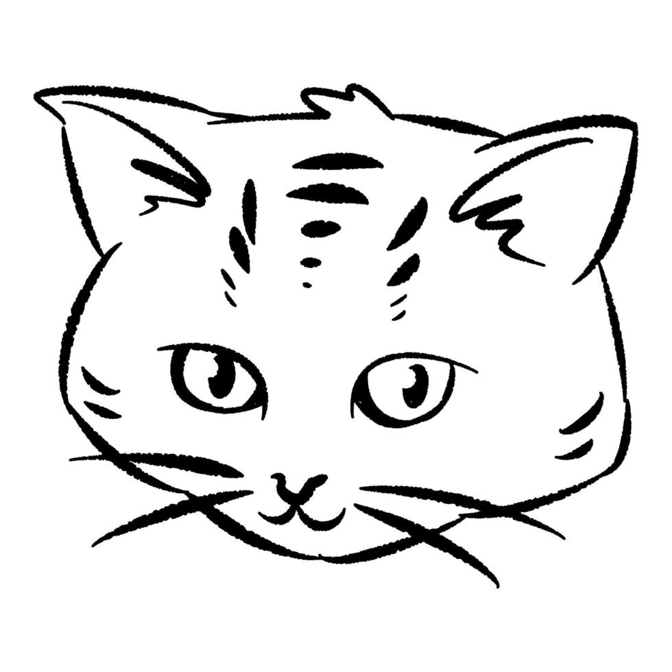 Hand drawn illustration of cat face with chubby cheeks. line art, black outline. cute kitten cartoon character. doodle sketch. Perfect for print, poster, greeting card. vector