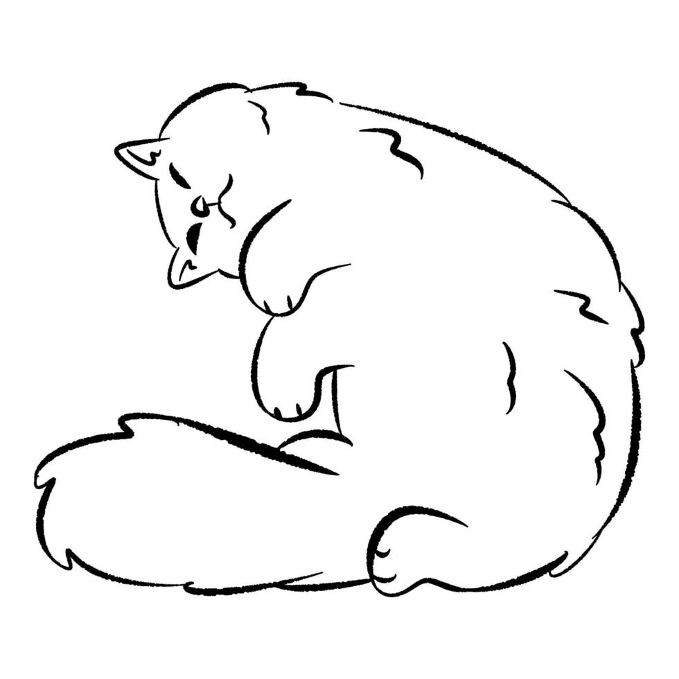 hand drawn illustration of sleeping cat in cute pose. line art, black outline. cute kitten cartoon character. doodle sketch. suitable for print, children coloring book. vector