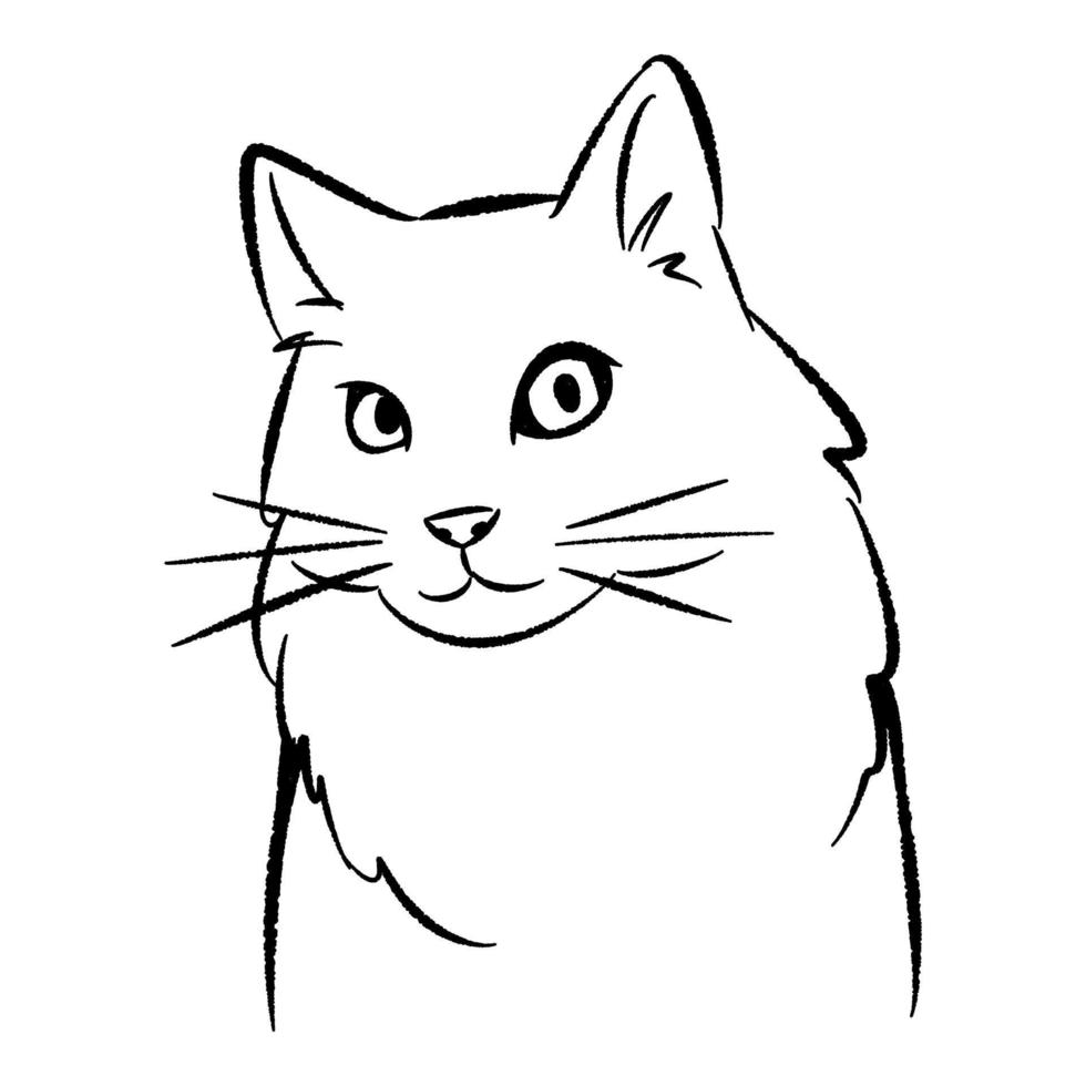 lindo gato dibujado a mano ilustración. arte lineal, contorno negro. personaje de dibujos animados lindo gatito. bosquejo del garabato. adecuado para imprimir, libro de colorear para niños. vector