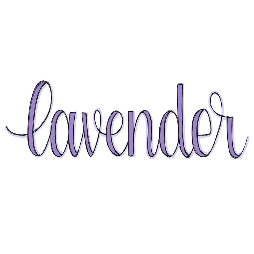 Lettering. Line art. Cursive. Word lavender. vector