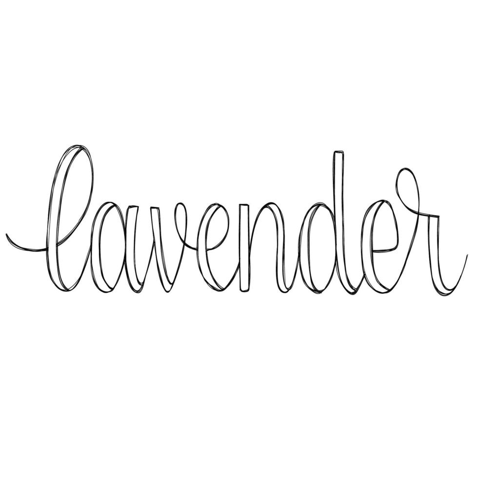 Lettering. Line art. Cursive. Word lavender. vector