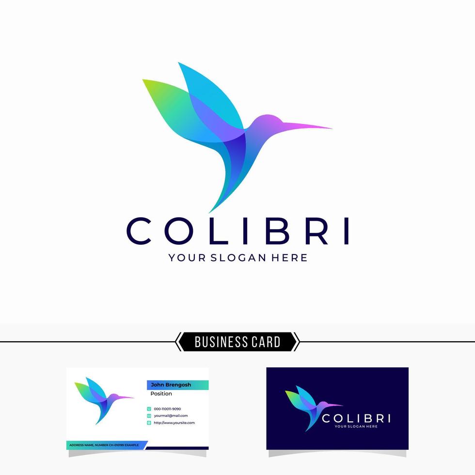 Beautiful Bird Hummingbird Colibri Colorful Logo Design Vector Template