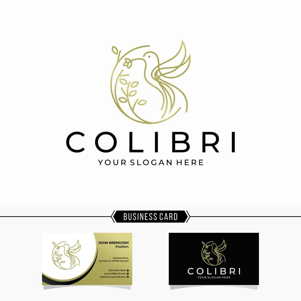 Beautiful Bird Hummingbird Colibri Colorful Logo Design Vector Template