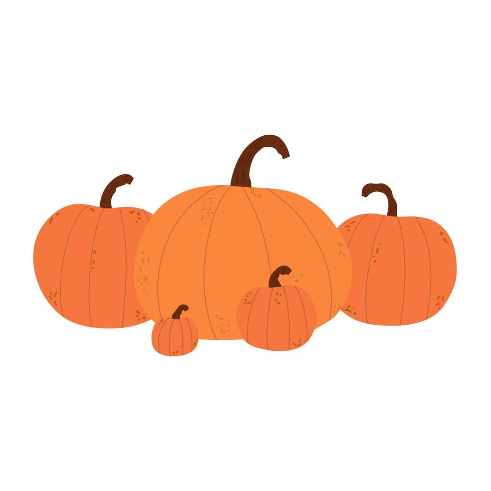 Orange pumpkins. Harvest in autumn. Thanksgiving Day. Vector illustration hand drawn in style