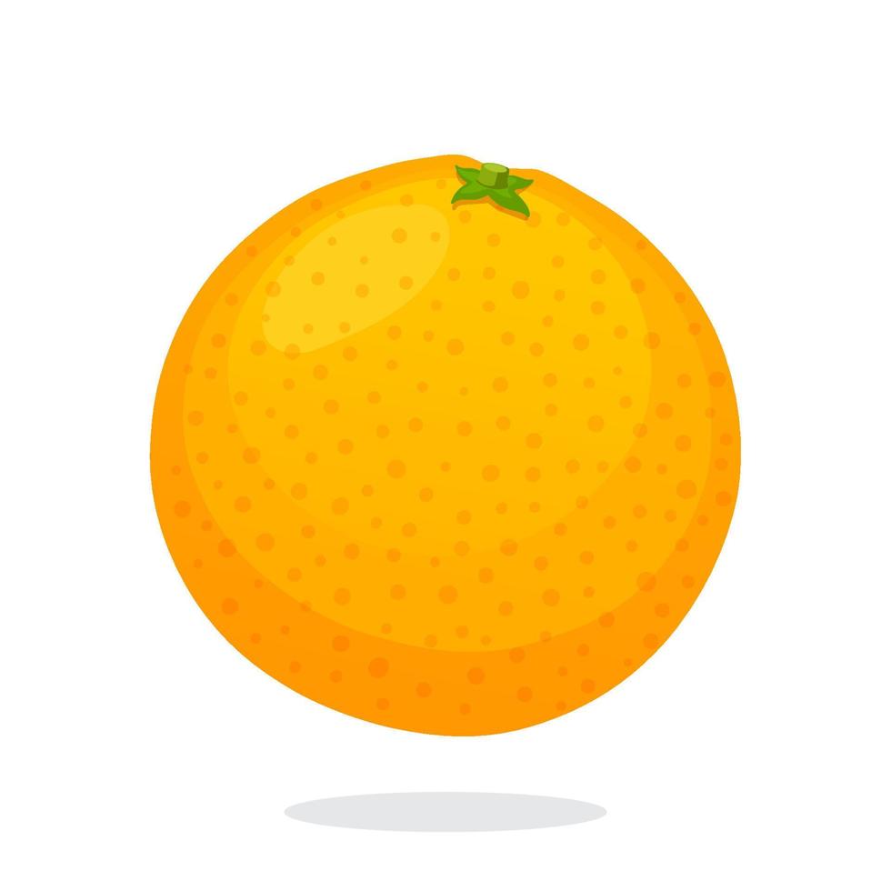 Whole orange flat illustration vector