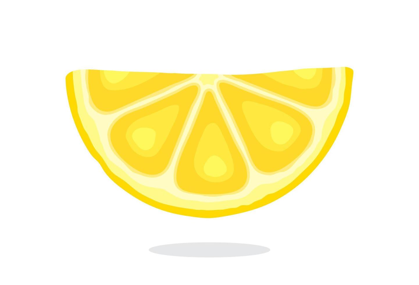 Half lemon slices vector