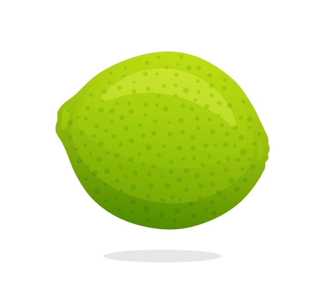 Whole lime flat illustration vector