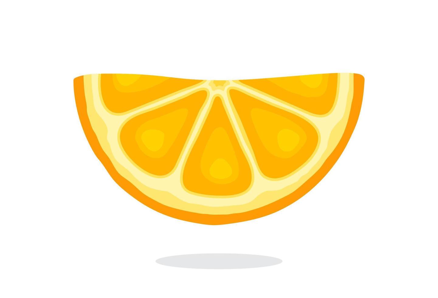Half orange slices vector
