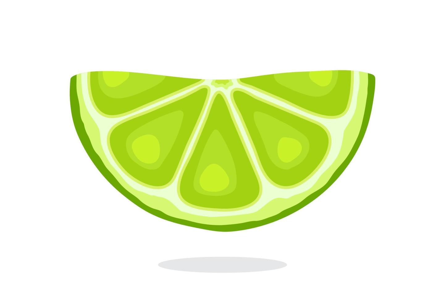 Half lime slices vector