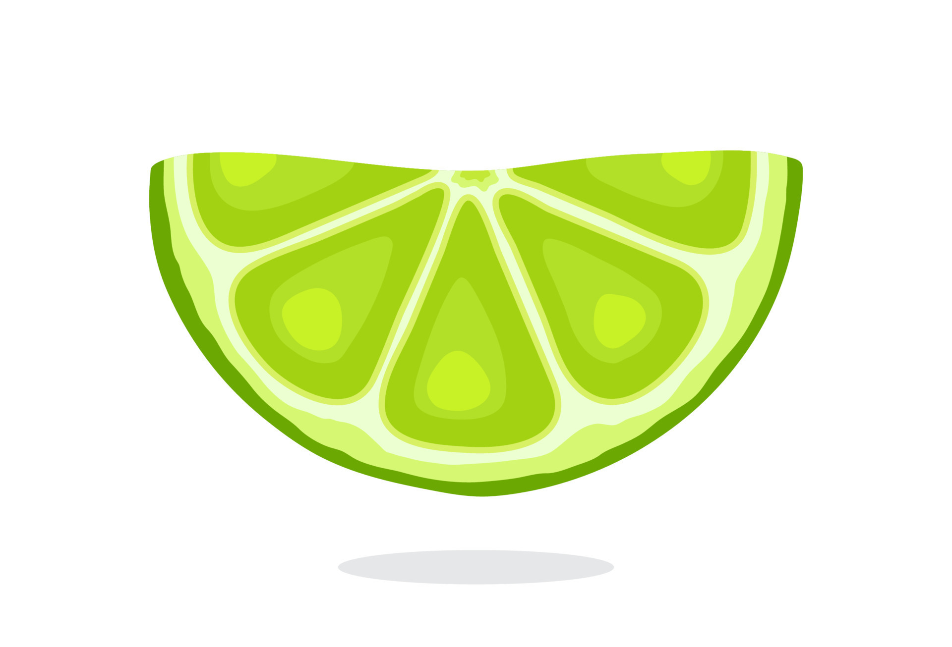 Half Lime Slices 17505851 Vector Art At Vecteezy lime-slice-png-clipart-png-file