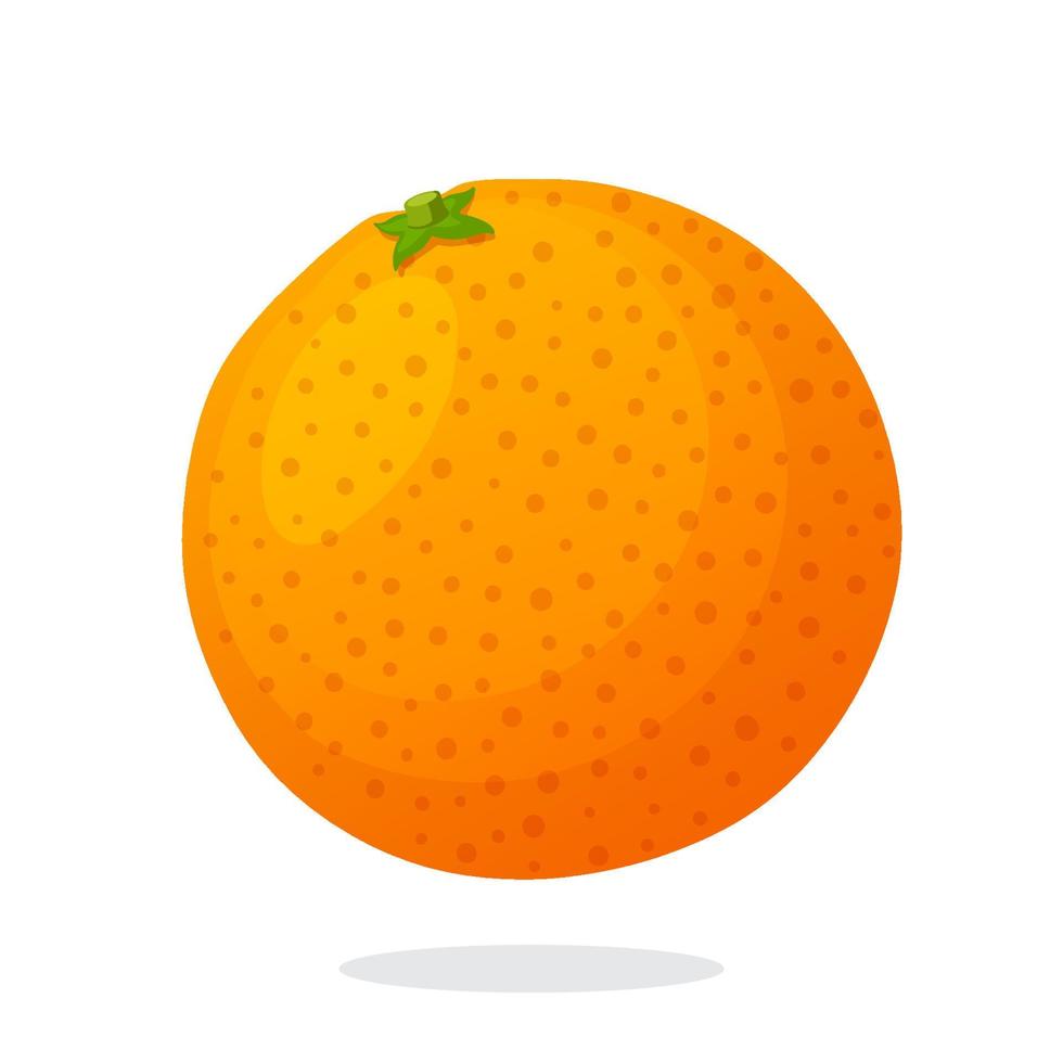 Whole grapefruit flat illustration vector