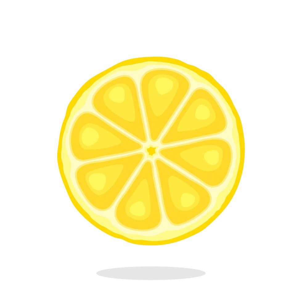 Slice of lemon vector