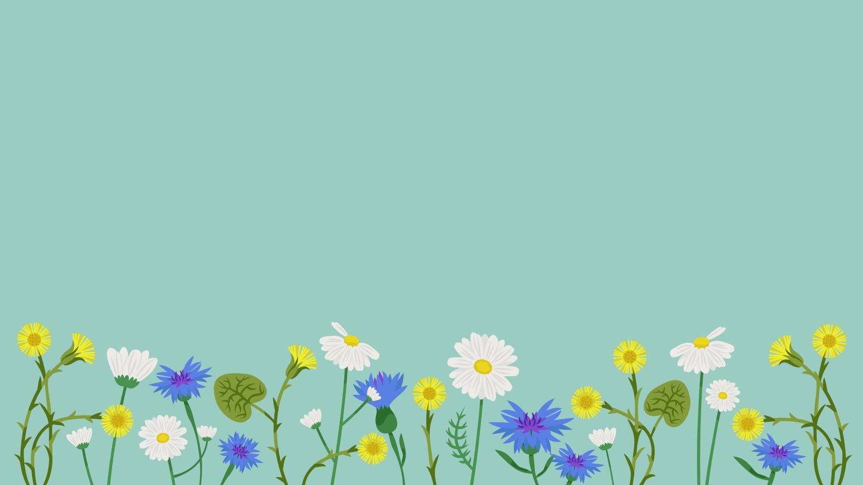 Banner with wildflowers. Beautiful design template in cartoon style. vector