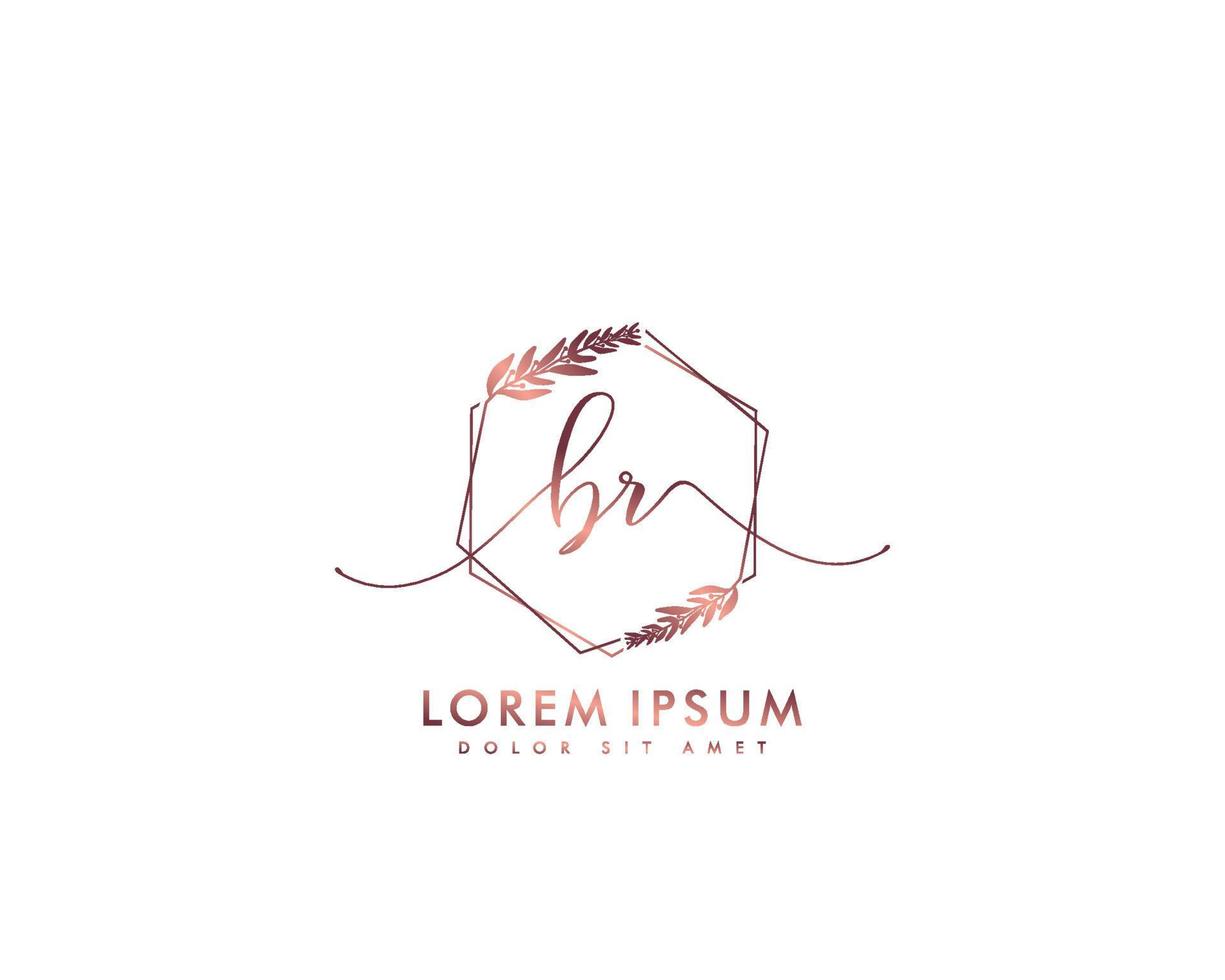 Initial BR Feminine logo beauty monogram and elegant logo design, handwriting logo of initial signature, wedding, fashion, floral and botanical with creative template vector