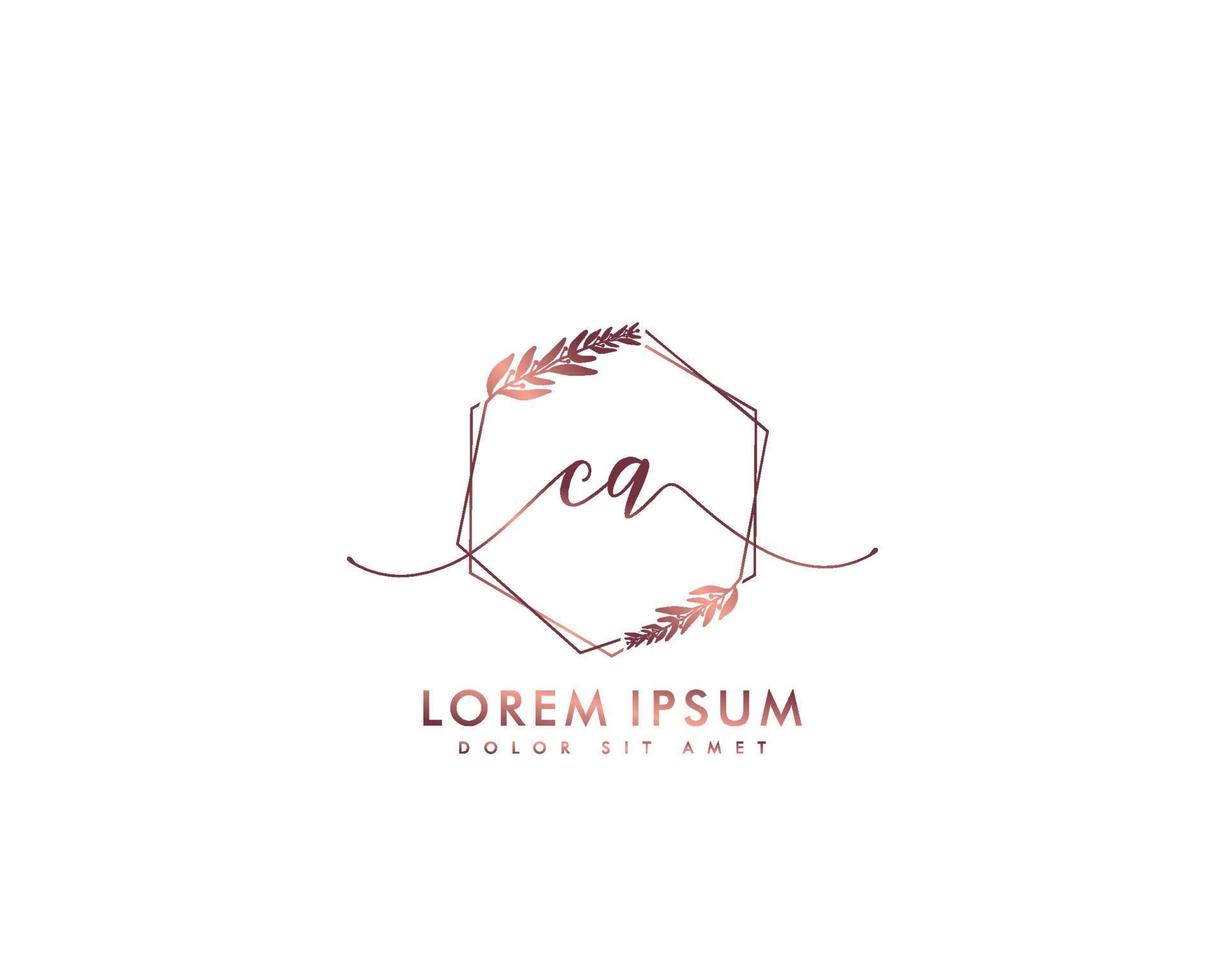 Initial CA Feminine logo beauty monogram and elegant logo design, handwriting logo of initial signature, wedding, fashion, floral and botanical with creative template vector