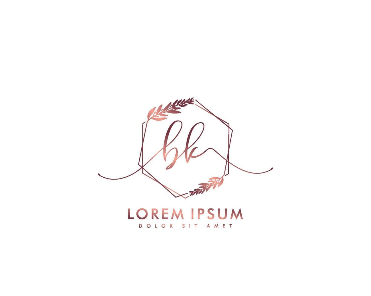Initial BK Feminine logo beauty monogram and elegant logo design, handwriting logo of initial signature, wedding, fashion, floral and botanical with creative template vector