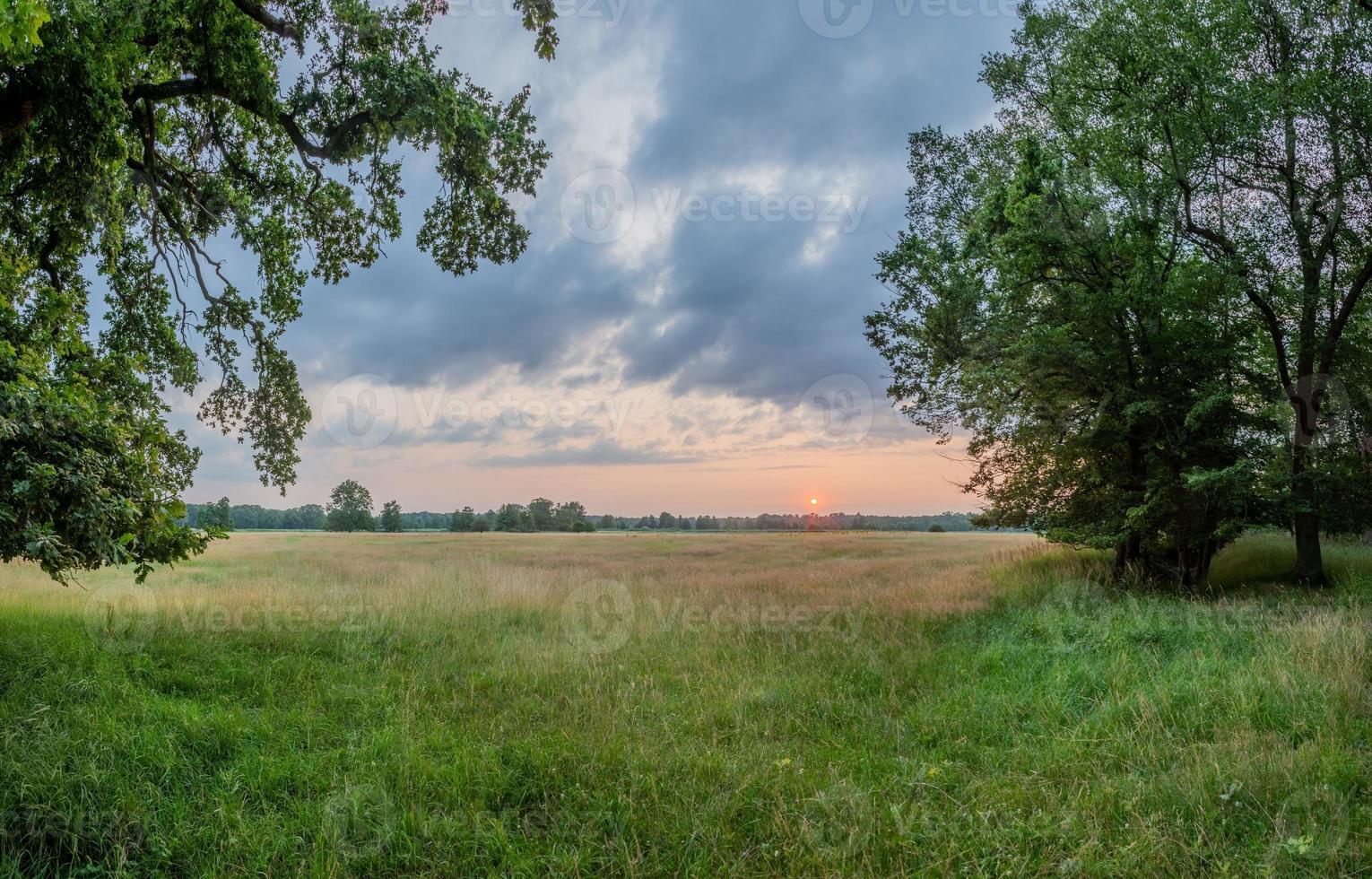 Scene of sunset in Gundwiesen nature reserve near Frankfurt airport photo