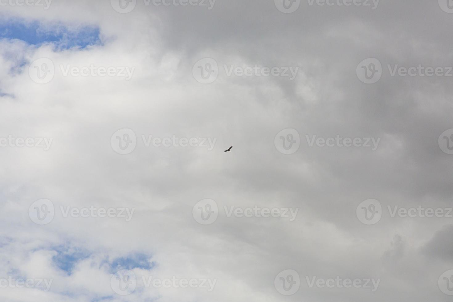 imagen de un cielo parcialmente nublado y parcialmente despejado durante el día foto