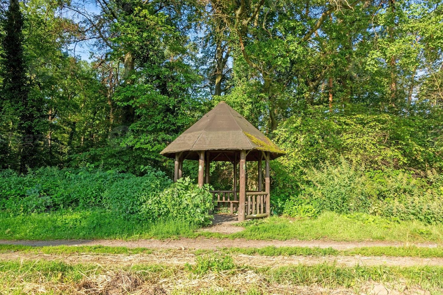 Image of a hiker's shelter in a forest path in summer photo