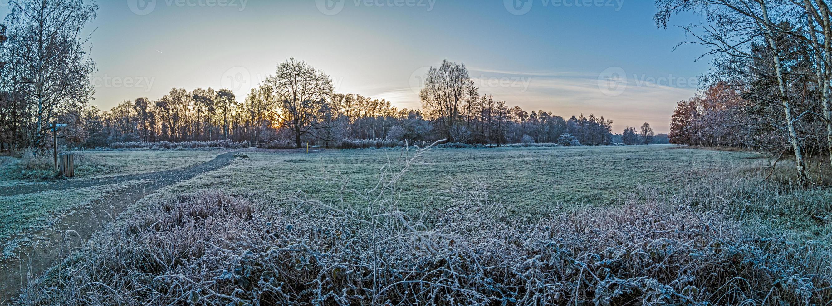Image of winter forest covered with ice in the morning at sunrise photo