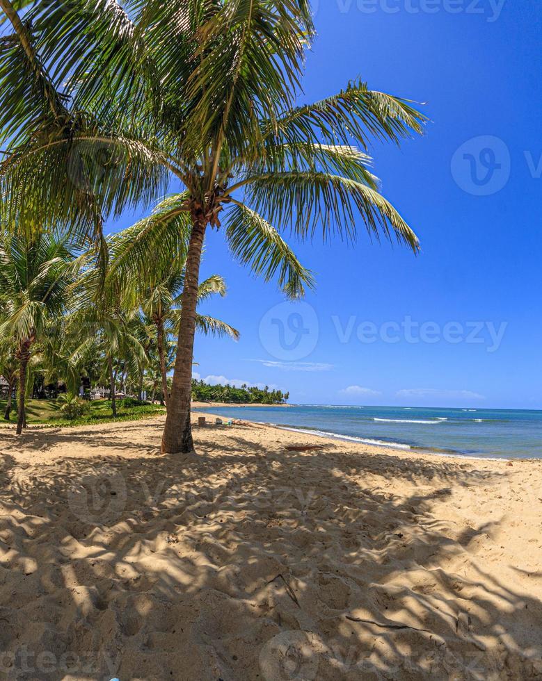 Panoramic view over the endless and deserted beach of Praia do Forte in the Brazilian province of Bahia during the day photo