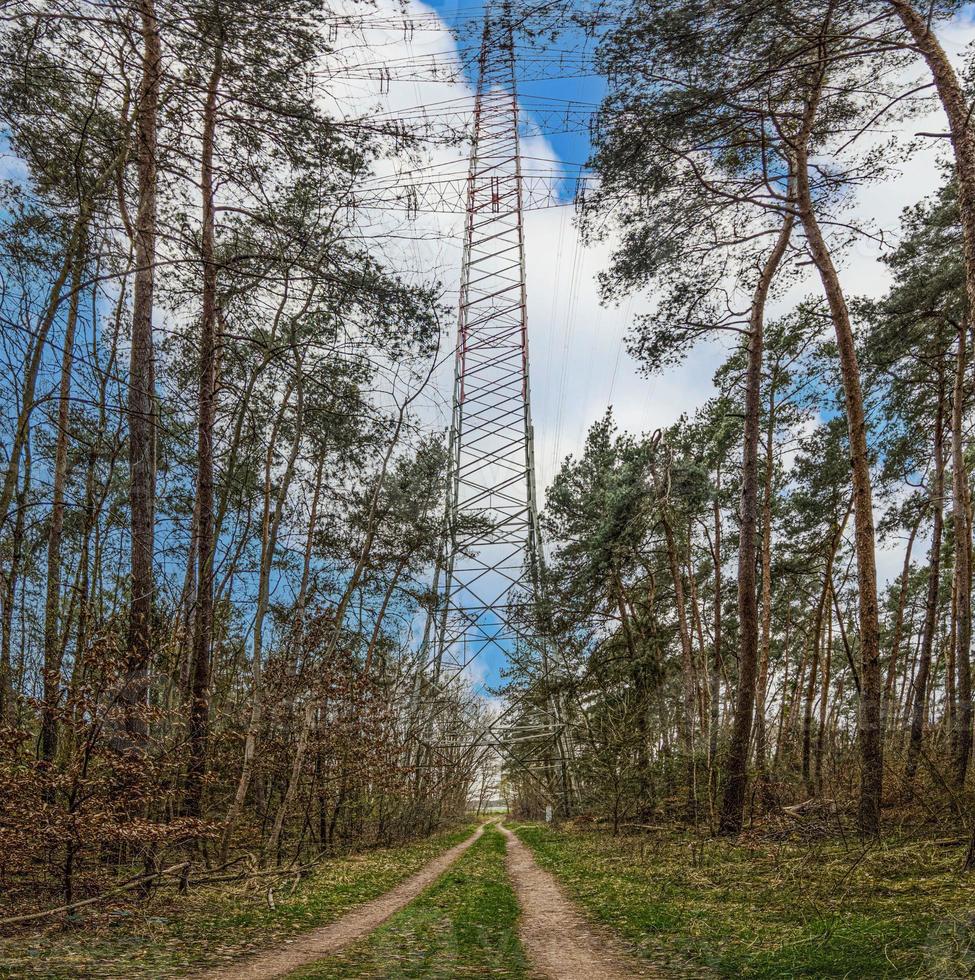 Image of a power pole in a wooded area with a narrow walking path during the day photo